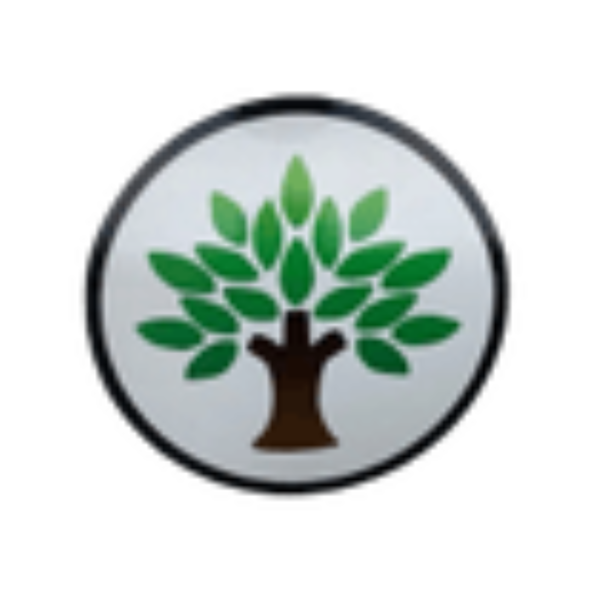 Go Pro Tree Care